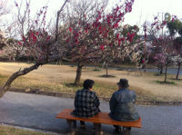 sIMG_9518