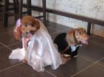 s-IMG_4387